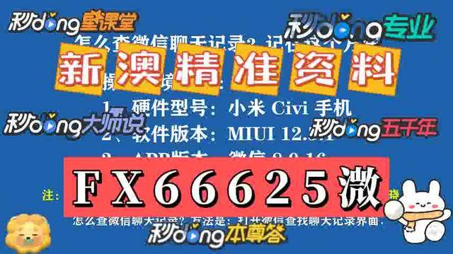 新澳门与香港2025全年免费资料大全精选解析，落实与解释