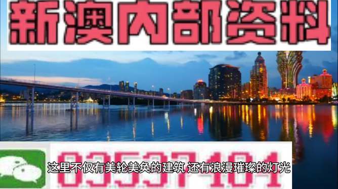 澳门正版资料免费大全新闻第067期，深度解析与探索